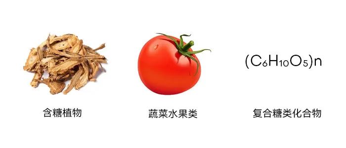 小型猫咪视频网站旋风分离器内壁粘附湿粉